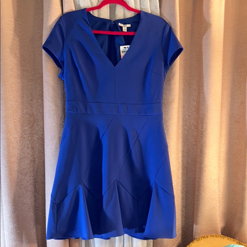NWT Bar III Size 10 V Neckline Swing Skirting Dress